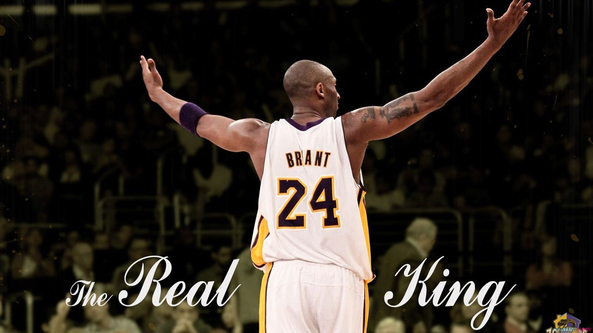 AYX官网-NBA球员专项力量训练与伤病预防研究，篮球专项力量